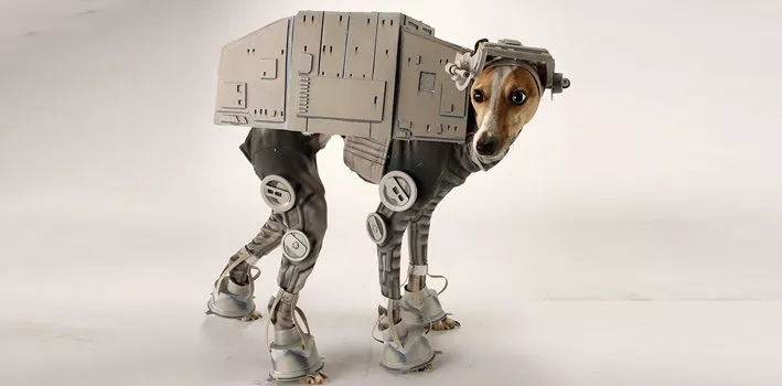 Dress Up Your Pet Day