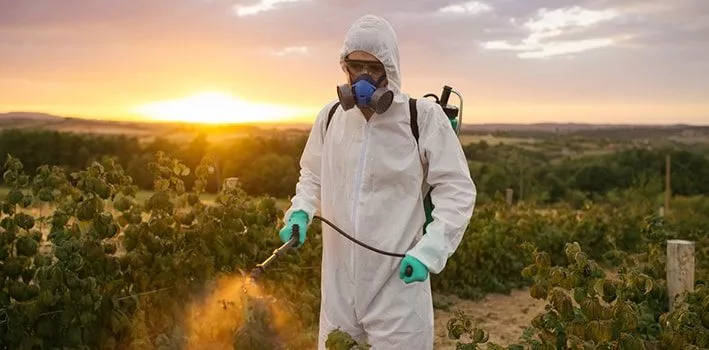 Why are pesticides used?