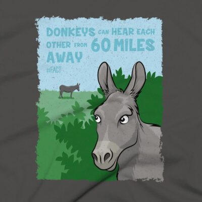 Donkey Clothing Design #FACT - Close Up - Asphalt