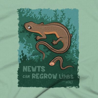 Newts Clothing Design #FACT - Close Up - Heather Prism Mint