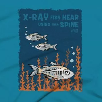 X-Ray Fish Clothing Design #FACT - Close Up - Aqua