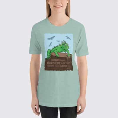 Women's Iguanas #FACT T-Shirt - Heather Prism Dusty Blue