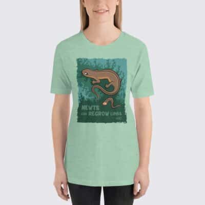 Women's Newts #FACT T-Shirt - Heather Prism Mint