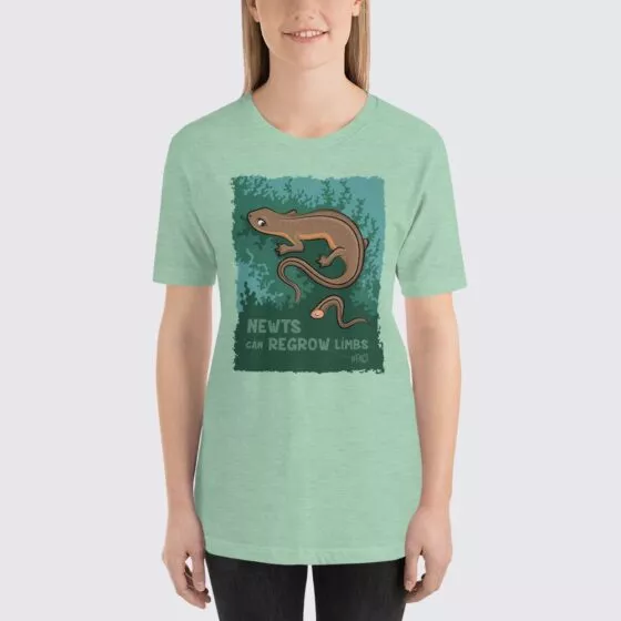 Women's Newts #FACT T-Shirt - Heather Prism Mint