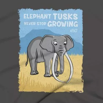 Elephants Clothing Design #FACT - Close Up - Asphalt