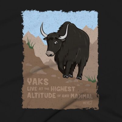 Yaks Clothing Design #FACT - Close Up - Black