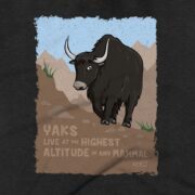 Yaks Clothing Design #FACT - Close Up - Charcoal Black Triblend