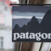 Amazing Patagonia Facts