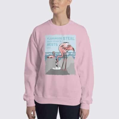 Women's Flamingo #FACT Sweatshirt - Light Pink