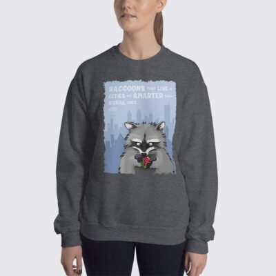 Women's Raccoon #FACT Sweatshirt - Dark Heather