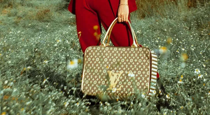 A person holding a gold Louis Vuitton bag.