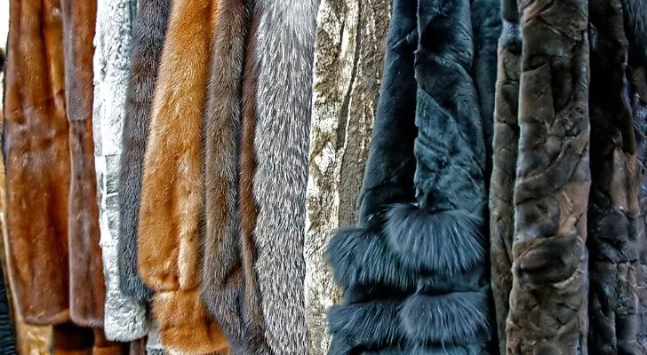 A rack of fur coat